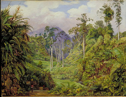 A Clearing in the Forest of Tji Boddas, Java, with bank of Tree Ferns