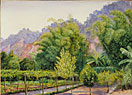 View of Mr Morit's Garden at Petropolis, Brazil