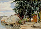 Boulders, Fisherman's Cottage and Tree hung with Air Plant, at Parquita, Brazil