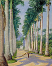 Side Avenue of Royal Palms at Botafoga, Brazil
