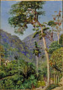 Glimpse of Mr Weilhorn's House at Petropolis, Brazil