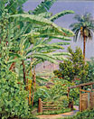 Bananas and Orange Trees,  a Palm and a Bush of Noche Buena in a Garden at Morro Velho, Brazil