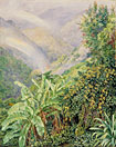 View of the Artist's House in Jamaica, with Double Rainbow