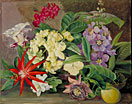 Cultivated Flowers, painted in Jamaica