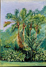 Group of small Palms, Rio Janeiro, Brazil