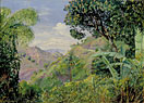 View on the Flamsted Road, Jamaica