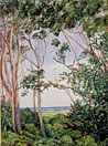 Trees from the Artist's Hut at St John's, South Africa