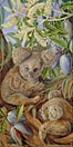 Australian Bears and Australian Pears                                                      (koala)