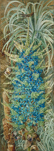 Inflorescence of the Blue Puya and Moths, Chili