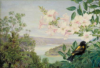 View on the Kowie River,  with Trumpet Flower in front