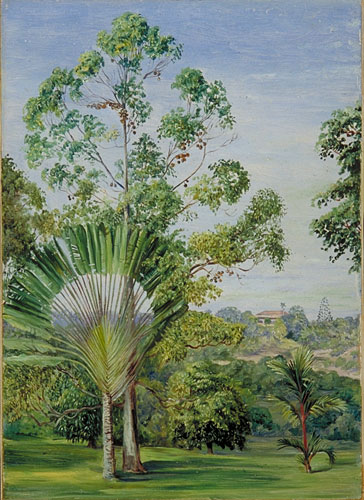 View of the Maharajah of Johore's House from Major McNair's Garden, Singapore