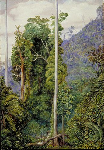 View of the Hill of Tegora, Borneo