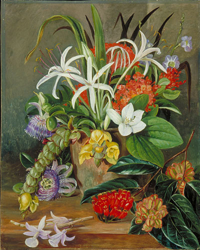 Group of Cultivated Flowers