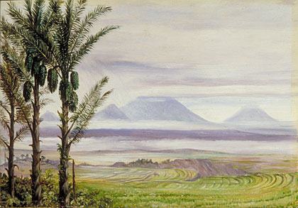 Volcanoes from Temangong, with Sugar Palms in the foreground, Java