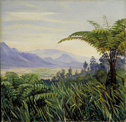 Tree Fern in the Preanger Mountains, Java
