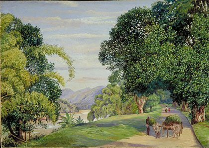 View at Peradeniya, Ceylon