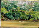 View of the Sandy River at Spanish Town, Jamaica