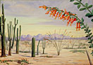 Vegetation of the Desert of Arizona