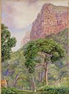 Undercliff and its two Fairies, with Raintree, St John's