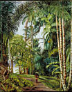 Walk under Palms, with a glimpse of the River at Sarawak