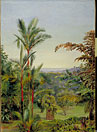 View of Singapore, from Dr Little's garden