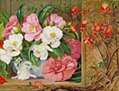 Japanese Flowers, painted from plants cultivated in this country