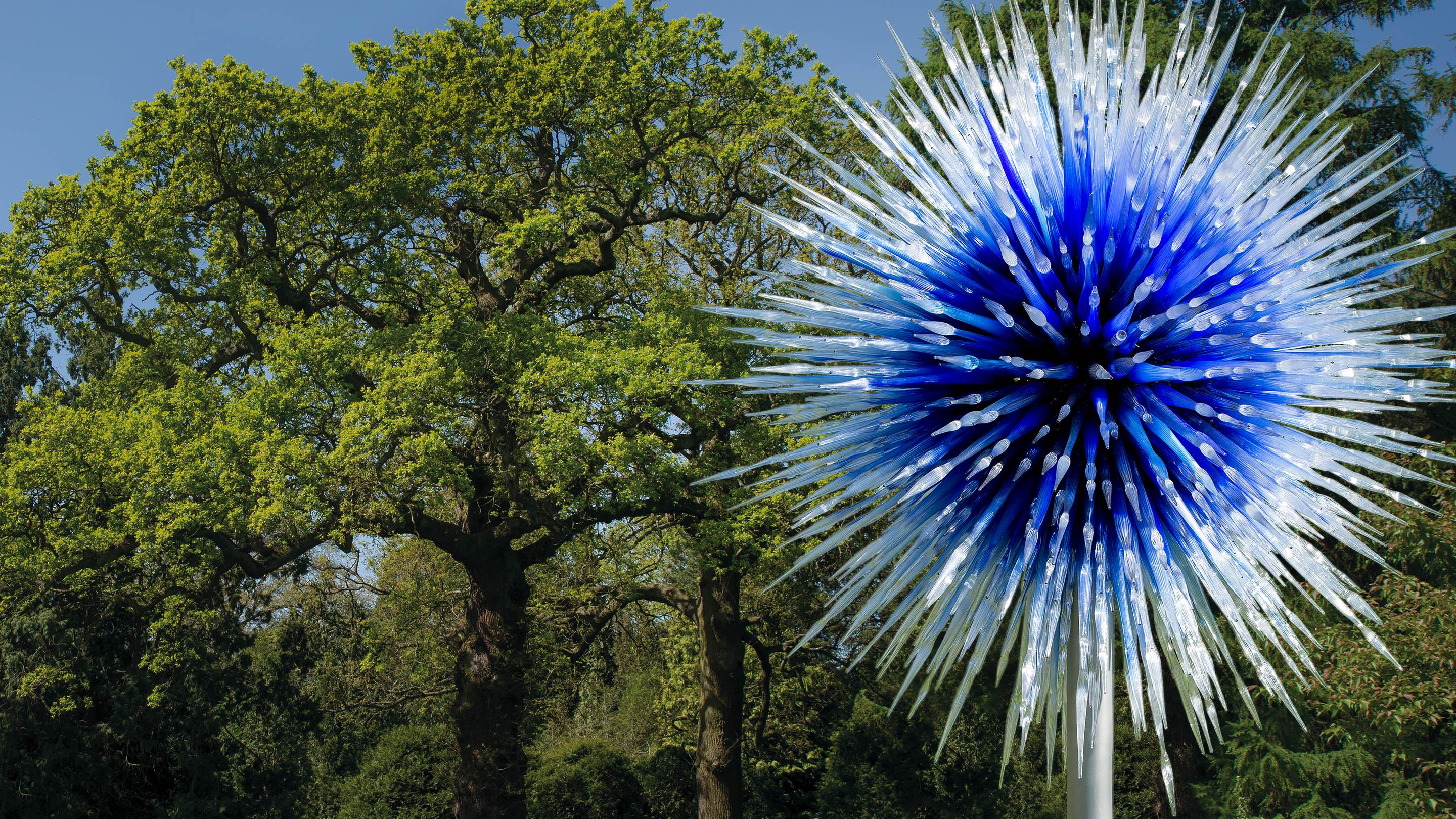Sapphire Star by Dale Chihuly