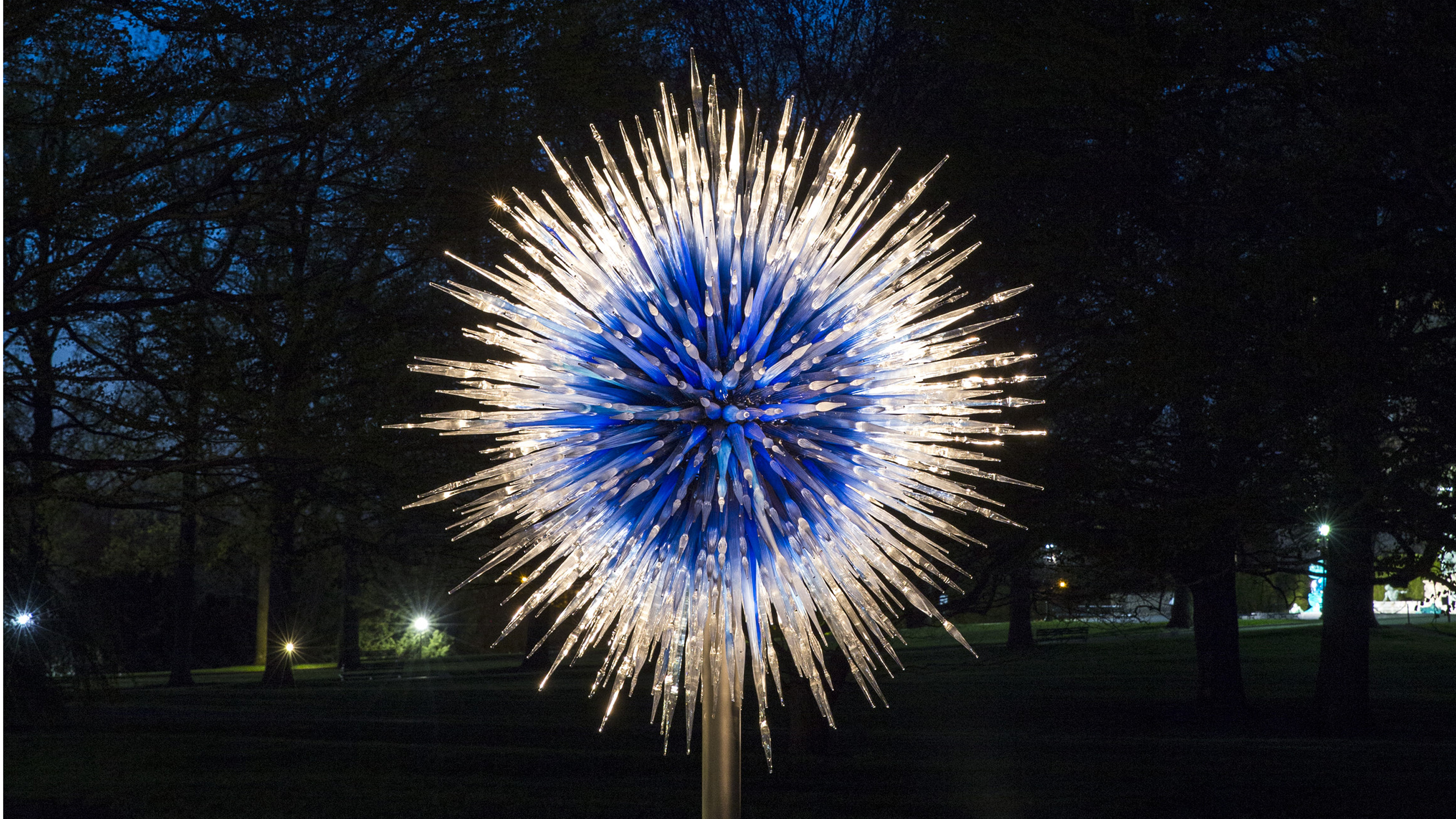 Dale Chihuly's 'Sapphire Star'
