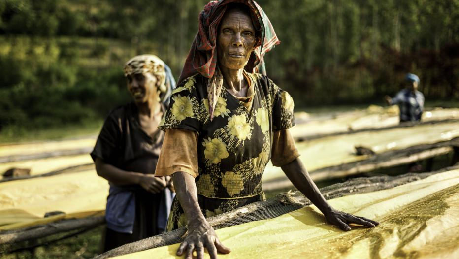 Female coffee farmers