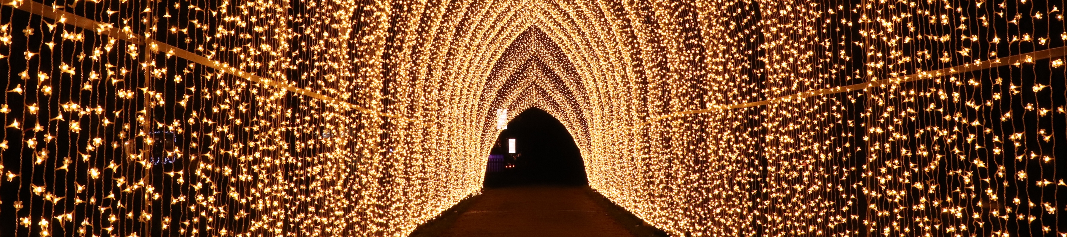 Cascades of white light forming a bright tunnel