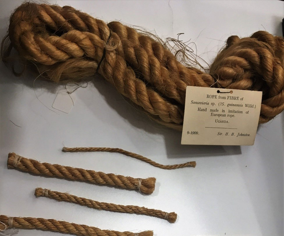 Ugandan rope