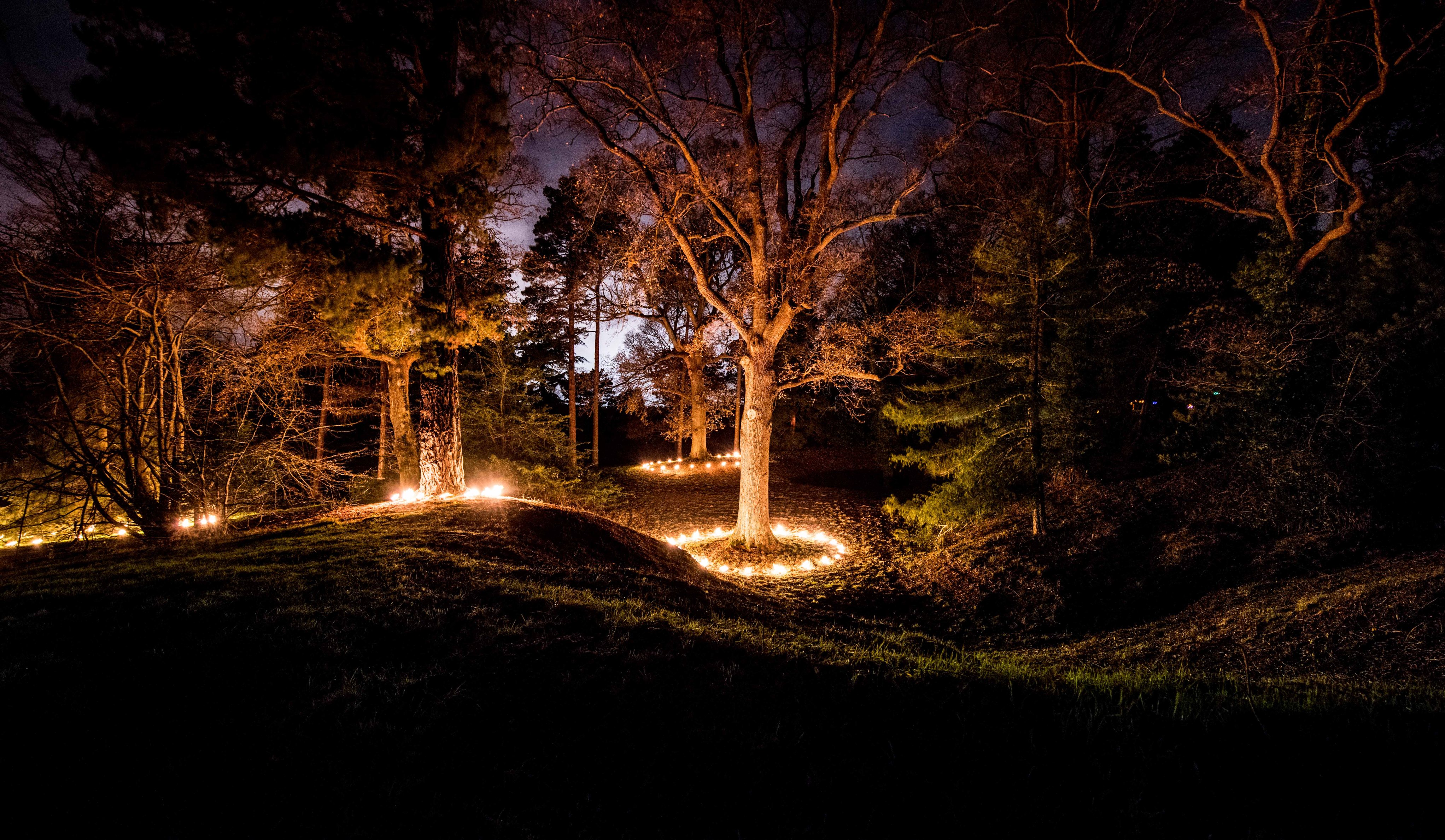 Circles of fire torches around trees at Wakehurst during Glow WIld