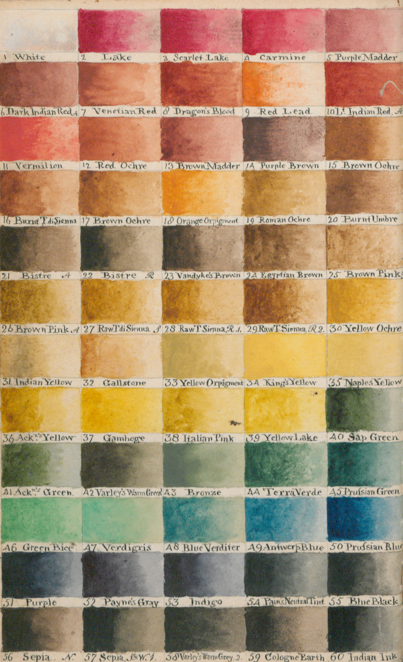 Detail from a colour sample sheet painted by William Burchell