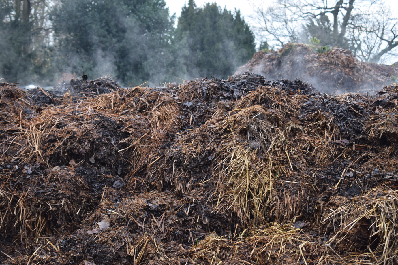 A pile of mulch 