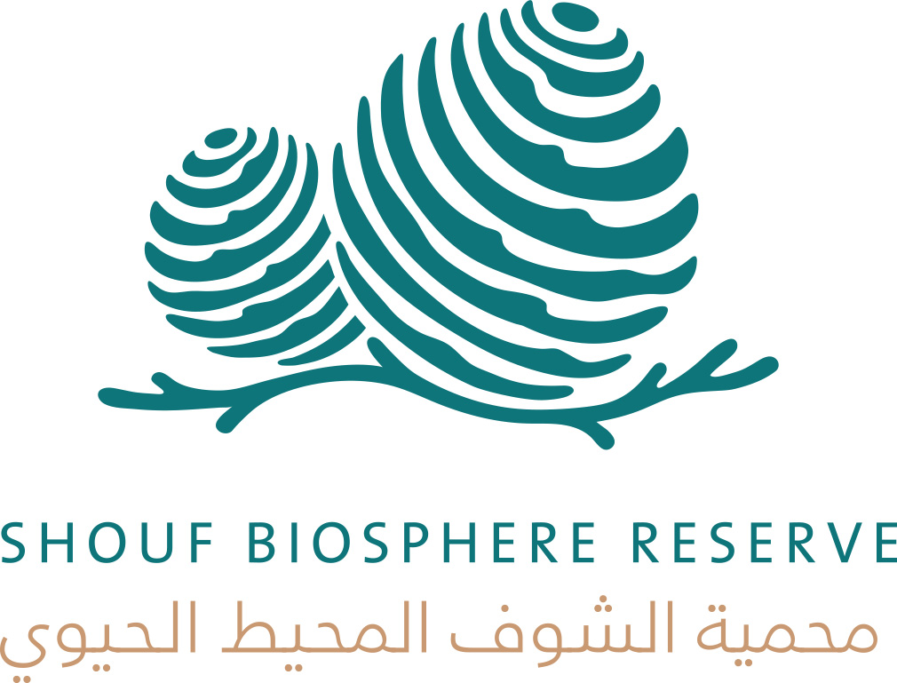 Shouf biosphere reserve logo with a green cone