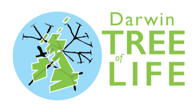 Darwin Tree of Life