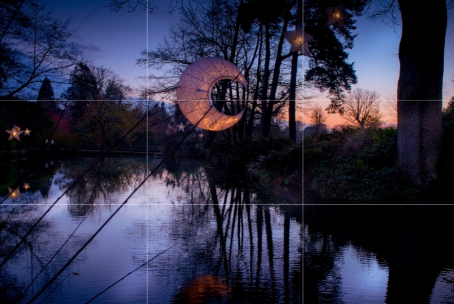 Camera grid used for Glow Wild photography