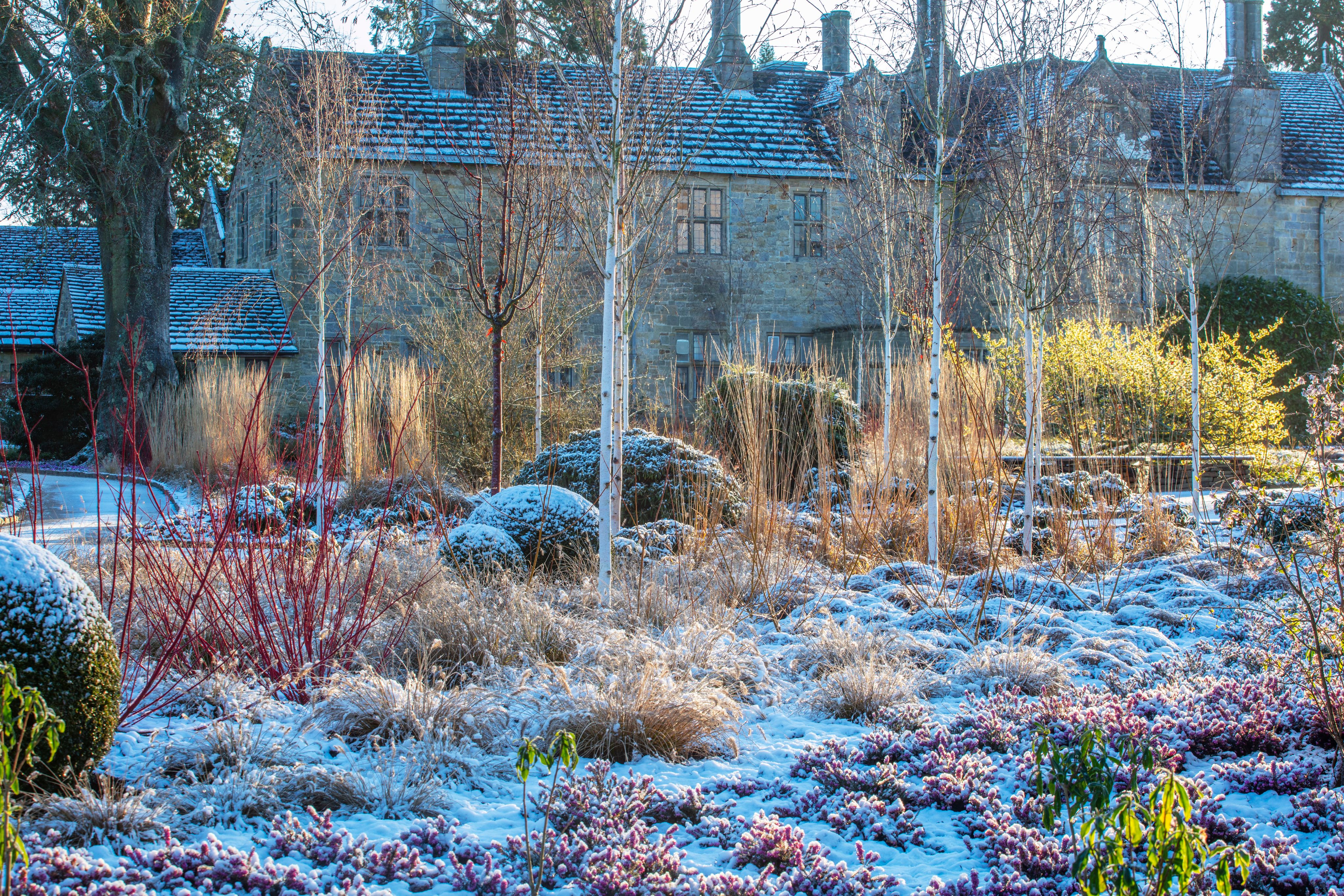 The Mansion Gardens in frost