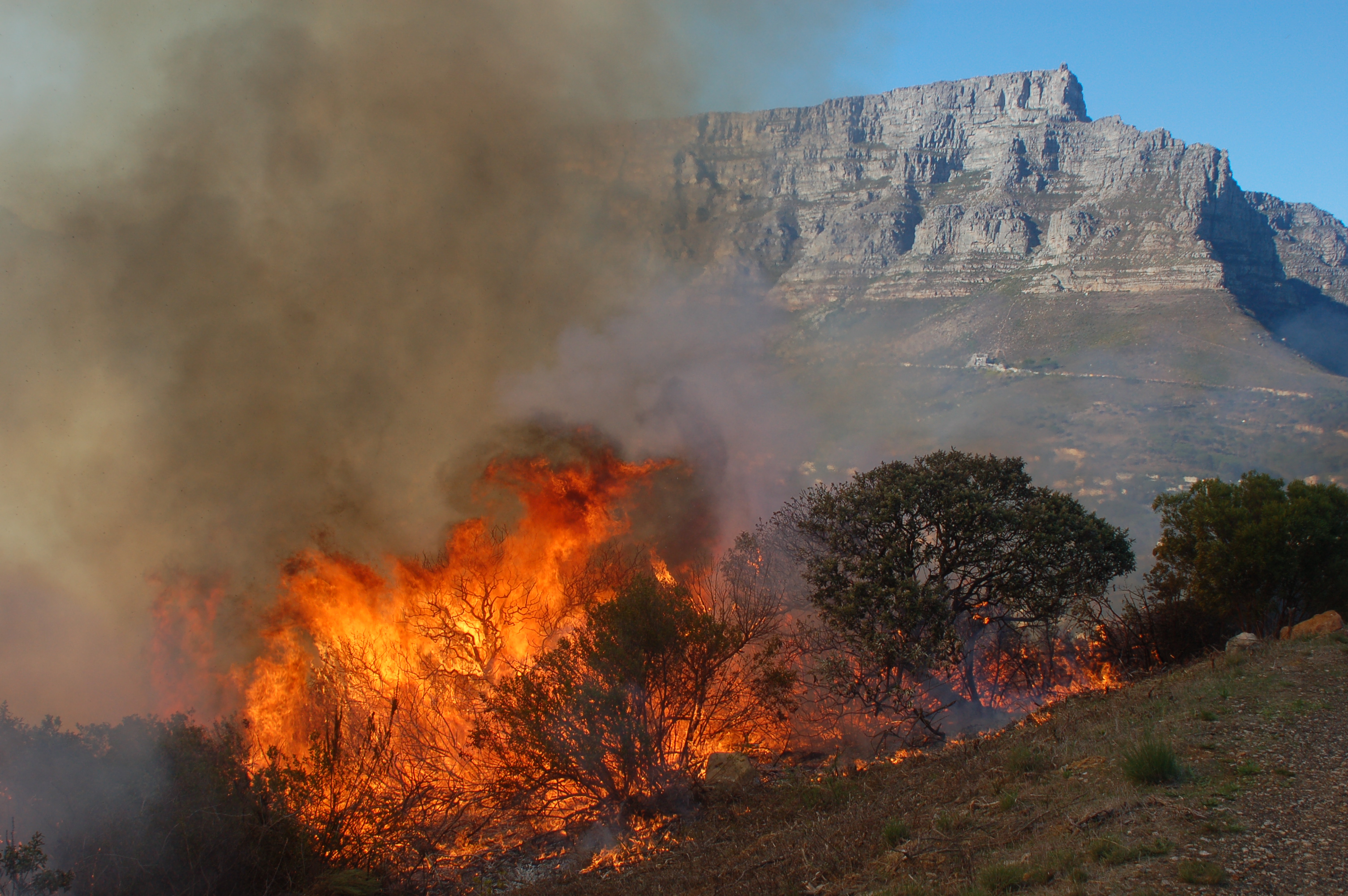Fire on Signal Hill in Table Mountain National Park