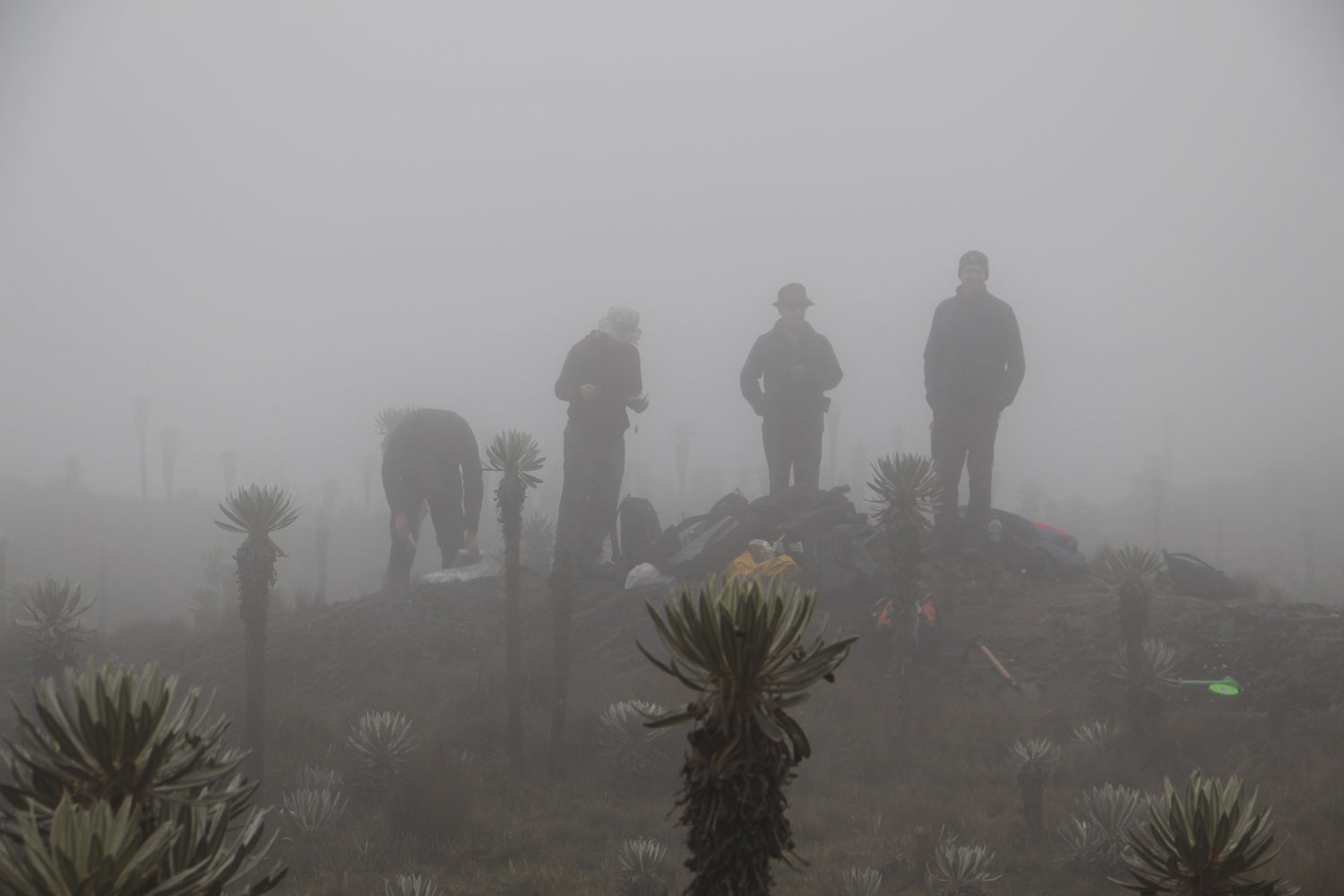 Researchers in the fog