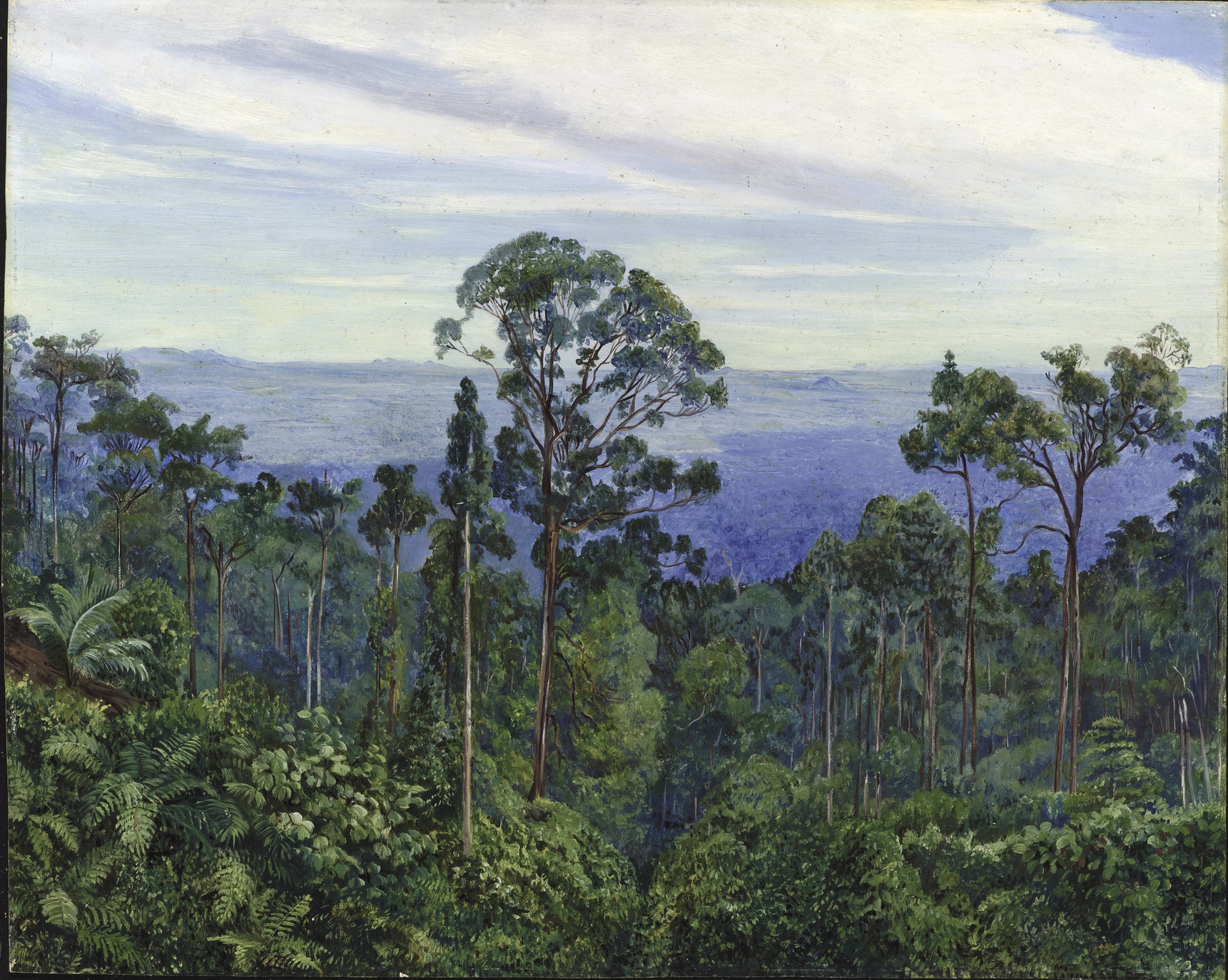 View of the Matang over the Great Swamp, Sarawak (Borneo)