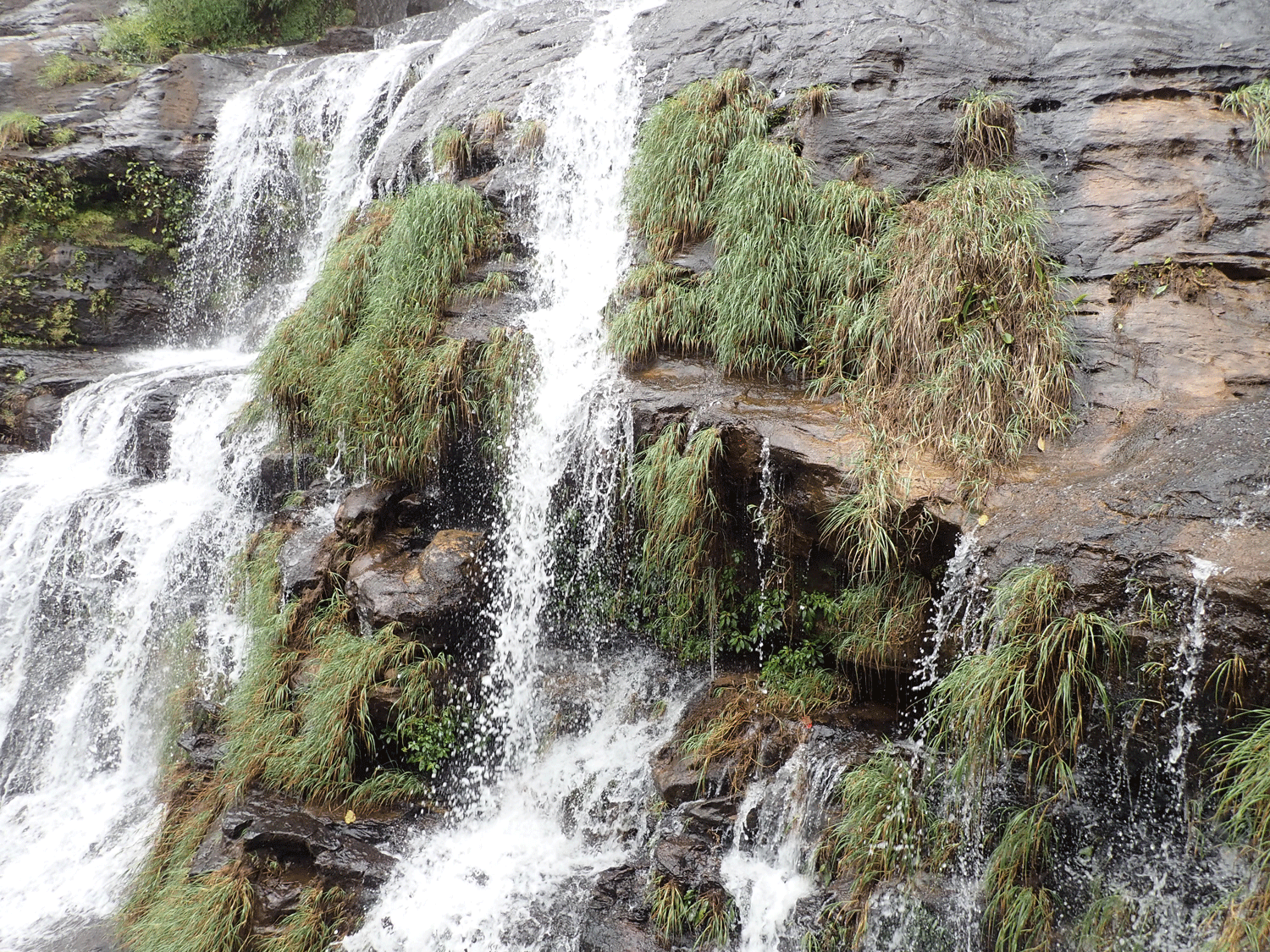Rocky waterfall with grass growing on it