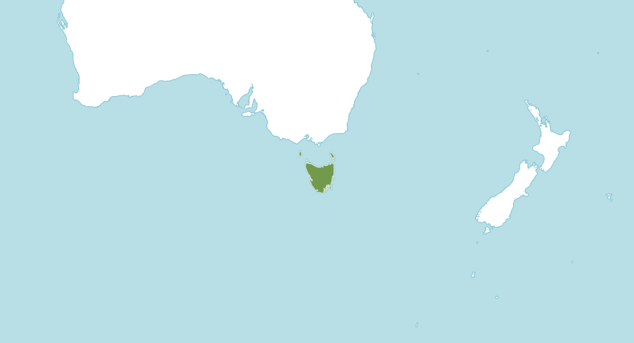 Map of the world showing where Morrisby's gum is native