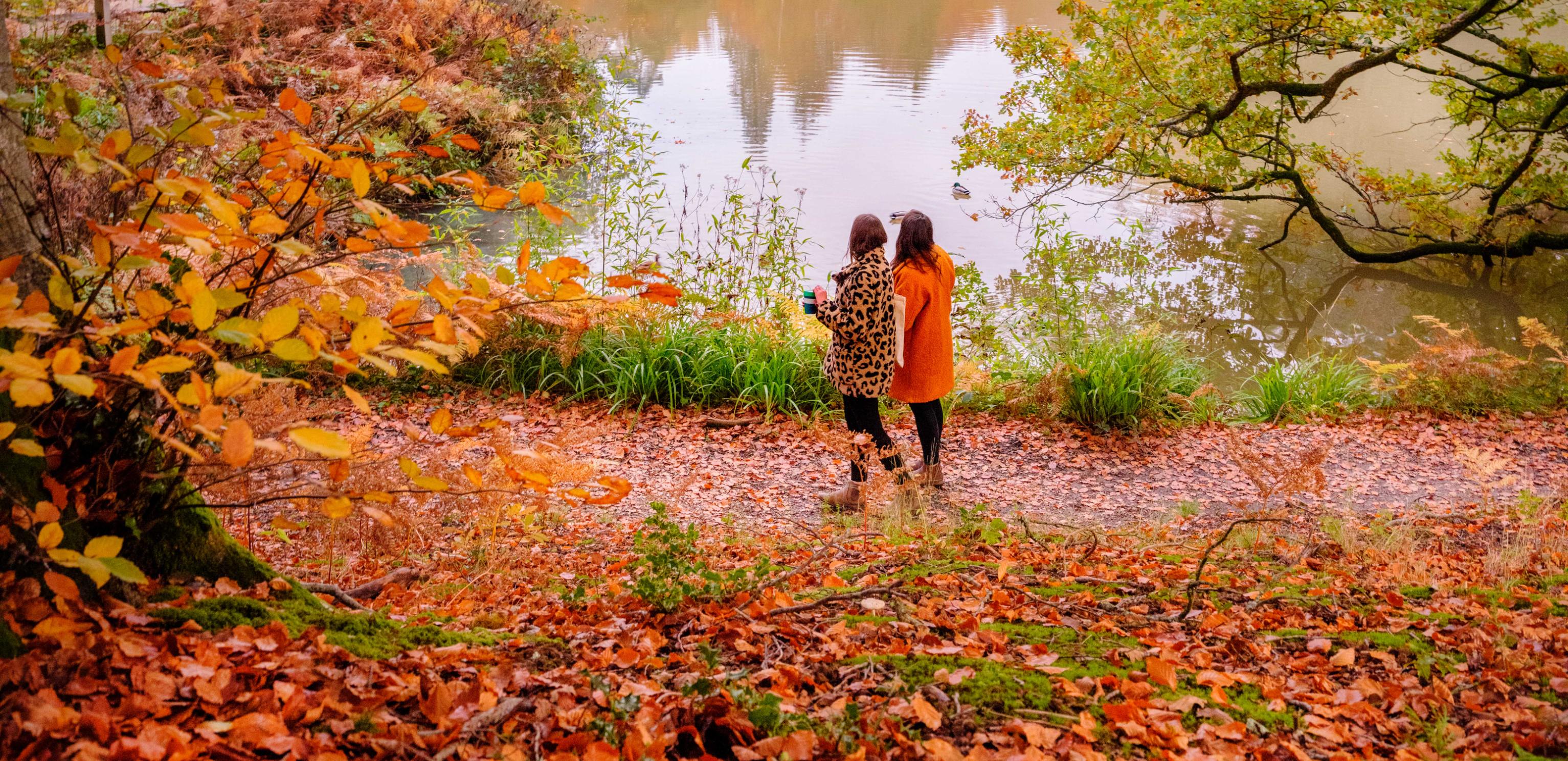 Visitors walking near Westwood Lake at Wakehurst in autumn