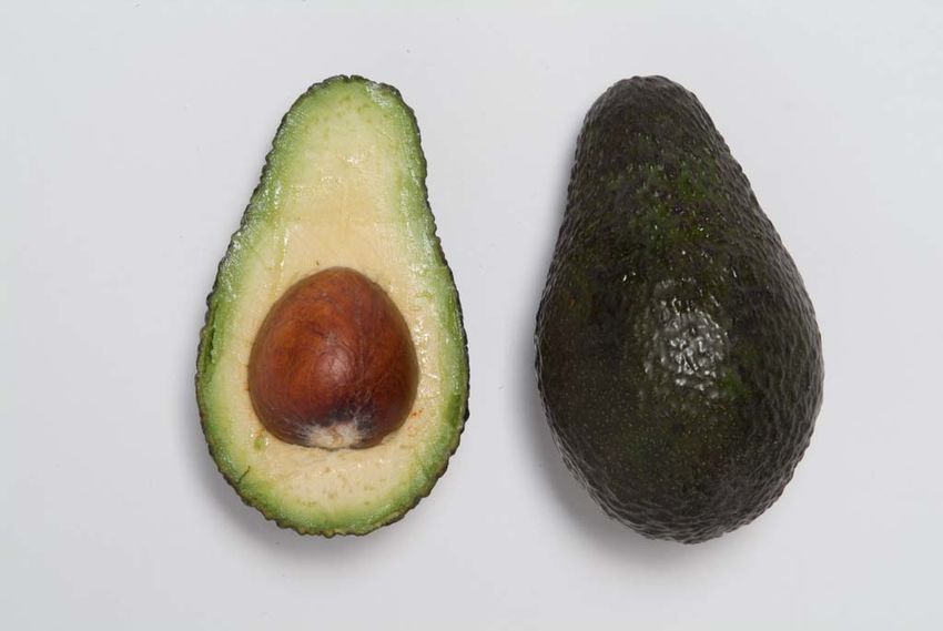 Pear-shaped fruit with dark green skin; greenish-yellow flesh; and a single, large, rounded seed in the centre.