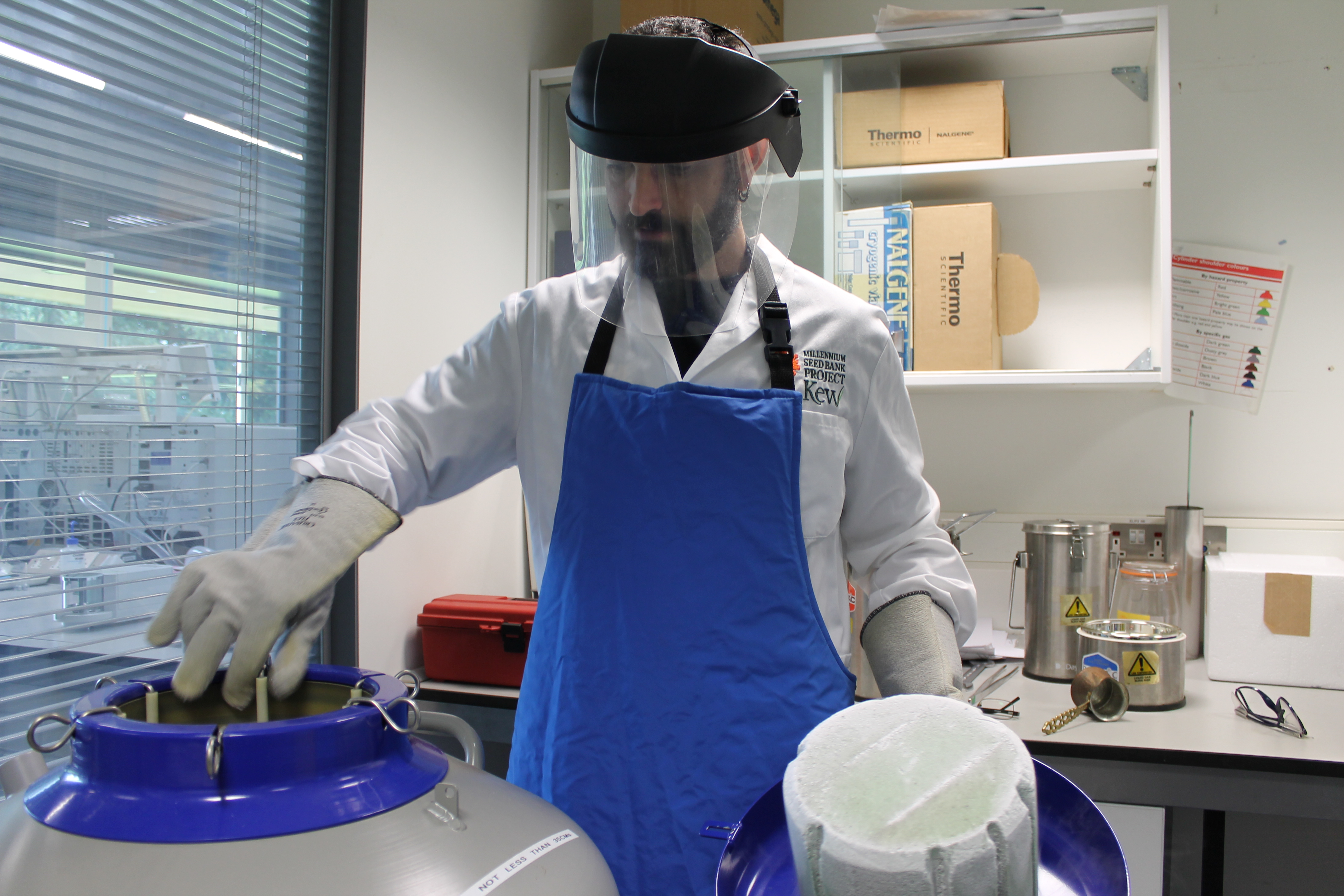 Kew scientist storing seeds in liquid nitrogen