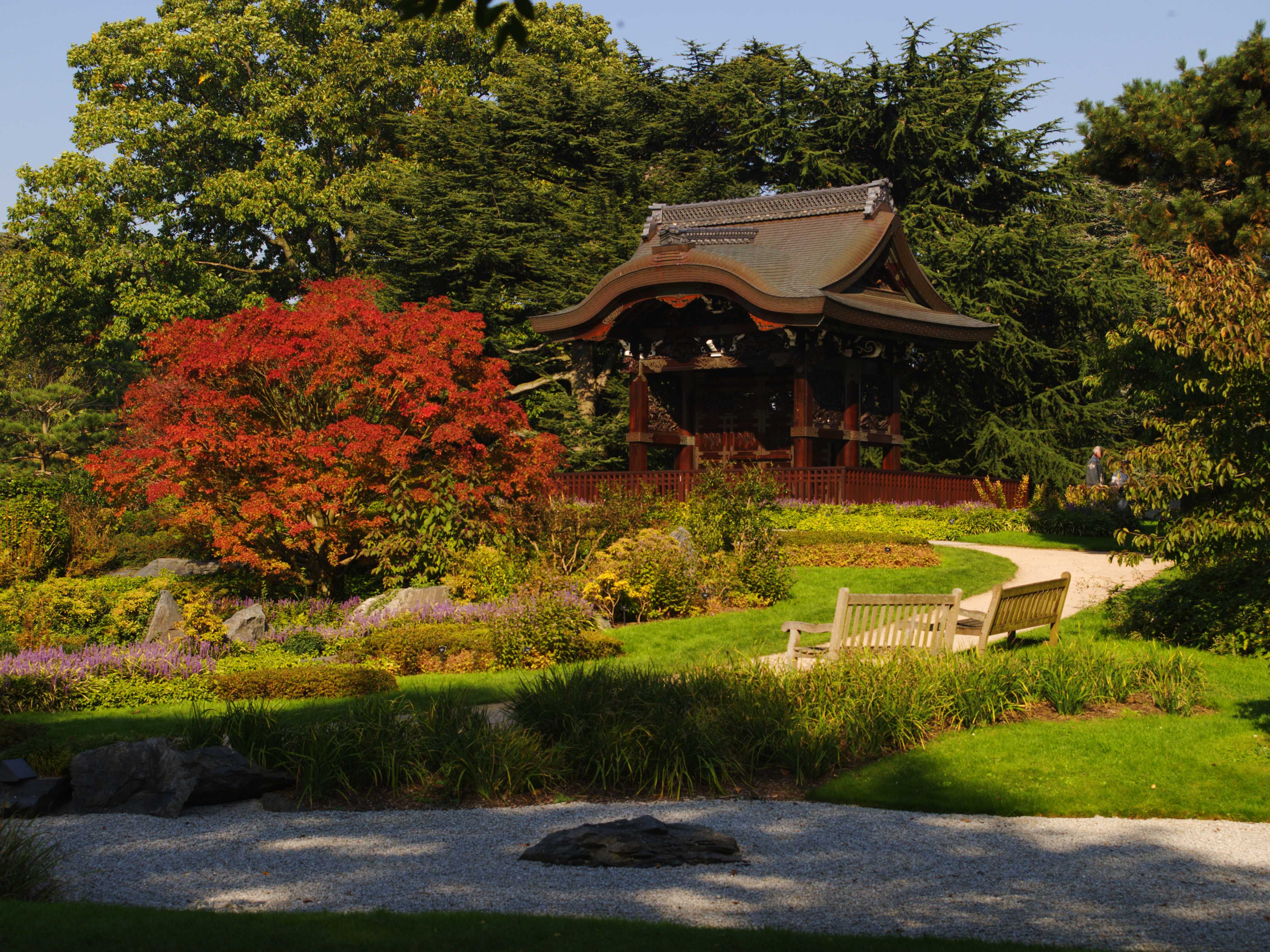 Japanese Landscape and Gateway at Kew in autumn