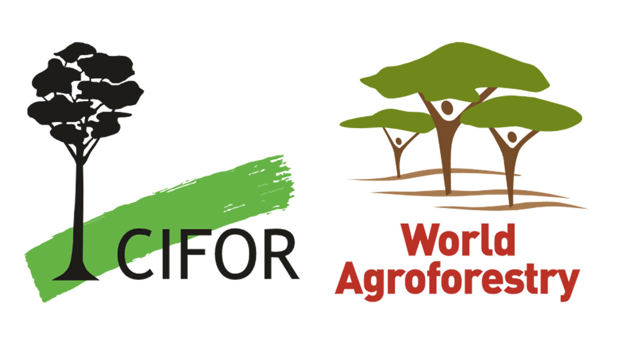 CIFOR ICRAF logo