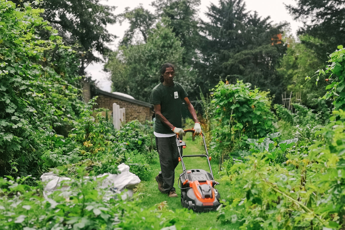 A volunteer mowing in the community allotment 