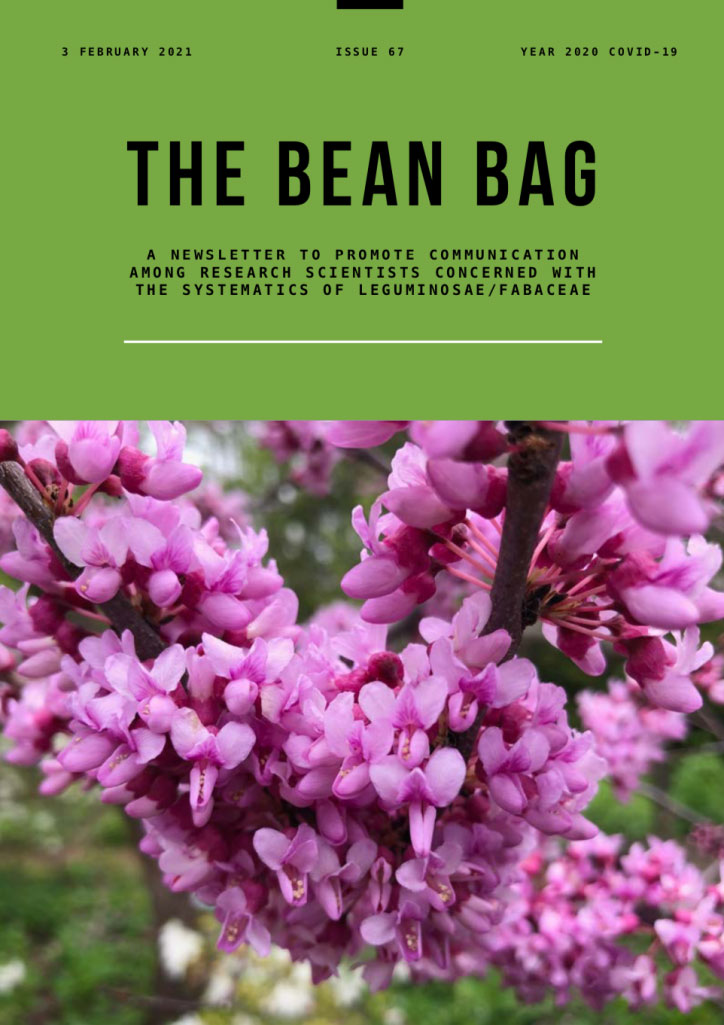Front cover of Bean Bag 67